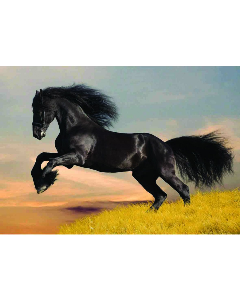 SİYAH AT (BLACK HORSE)