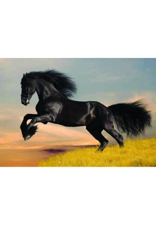 SİYAH AT (BLACK HORSE)